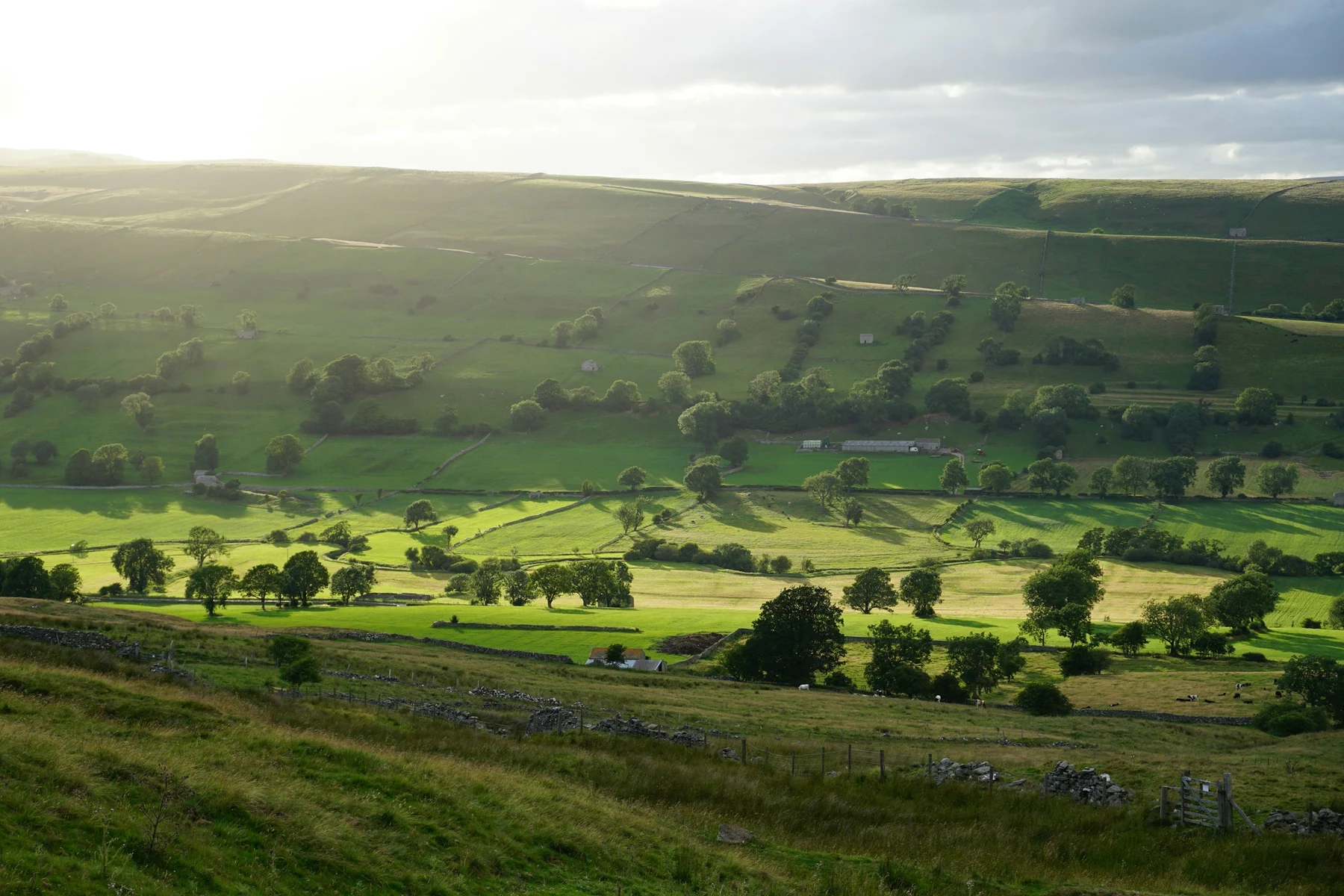 Sunlight extending over open countryside